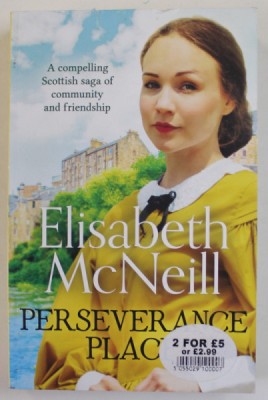 PERSEVERANCE PLACE by ELISABETH McNEILL, 2022, PREZINTA HALOURI DE APA * foto