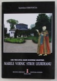 DIN TRECUTUL MARII BOIERIMI MUNTENE . MARELE VORNIC STROE LEURDEANU de SPIRIDON CRISTOCEA , 2011