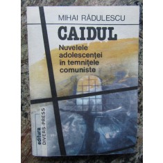 Mihai Radulescu - Caidul. Nuvelele adolescentei in temnitele comuniste