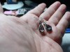 Cercei Argint Vintage Topaz Mistic 4.7g, Bijuterii Argint Second Hand, Cercei Argint Vintage