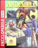 ANIMALELE SI LUMEA LOR TAINICA-CRISTINA MUICA-274160