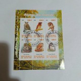 Colita Faune du monde" (Păsări / Papagali) emisă de Burundi &icirc;n anul 2011 CTO
