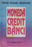 MONEDA CREDIT BANCI-CEZAR BASNO, NICOLAE DARDAC, CONSTANTIN FLORICEL-257978