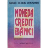 MONEDA CREDIT BANCI-CEZAR BASNO, NICOLAE DARDAC, CONSTANTIN FLORICEL-257978
