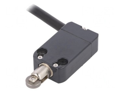 Limitator de cursă cu rolă metalică &amp;Oslash;12mm 10A 250VAC foto