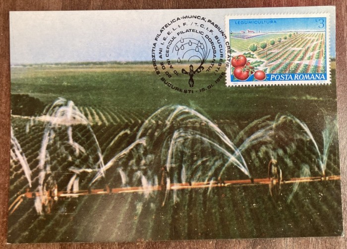 C12 - maxima Romania - tematica turism 4 - prima zi a emisiunii sau expozitii
