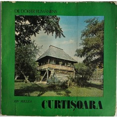 Ion Miclea, Curtișoara, 1981