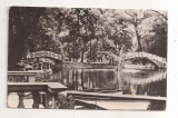 RF123 - Carte Postala - Botosani. Parcul M. Eminescu, circulata 1958