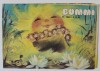 BUMMI , REVISTA PENTRU COPII IN LIMBA GERMANA , No. 11 , 1989
