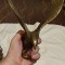 Vultur bronz antik