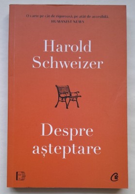 Despre asteptare - Harold Schweizer foto