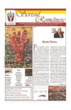 Revista Scrisul Romanesc Nr.5 din 2025