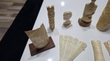 Lot vintage de 12 piese de os