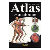 Atlas de anatomie - Irina Paller