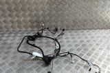 Cablaj ușă dreapta spate TESLA MODEL S 2018 OEM: 1004426-00-R | 31873620