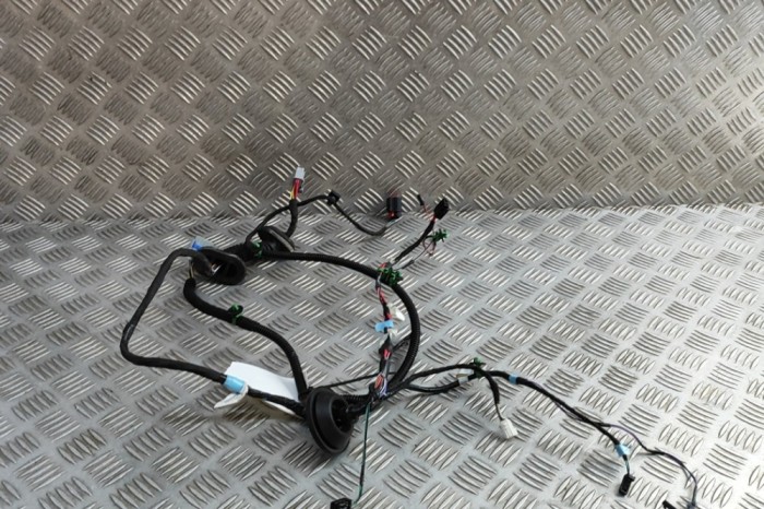 Cablaj ușă dreapta spate TESLA MODEL S 2018 OEM: 1004426-00-R | 31873620