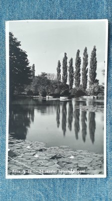 27 - Baile Felix furdo - To reszlet lotusz / Oradea jud. Bihor / carte postala foto