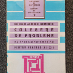 CULEGERE DE PROBLEME DE ANALIZA MATEMATICA PT. CLASELE XI-XII - Schneider