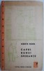 Capul Bunei Sperante - Augustin Buzura - Roman Beletristica