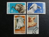 Serie Filatelică Rase de Animale Domestice &amp; Zootehnie / Poșta Rom&acirc;nă (1962) - A583