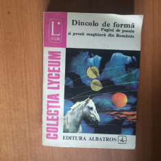 n2 DINCOLO DE FORMA. PAGINI DE POEZIE SI PROZA MAGHIARA DIN ROMANIA-COLECTIV