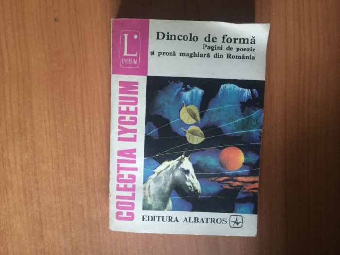 n2 DINCOLO DE FORMA. PAGINI DE POEZIE SI PROZA MAGHIARA DIN ROMANIA-COLECTIV