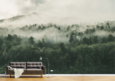 Tapet Premium Canvas - Padurea verde acoperita de ceata foto