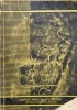 Nucul - C. Cociu , X74