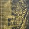 Nucul - C. Cociu , X74