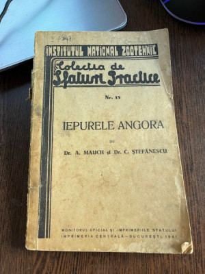 A. Mauch - Iepurele Angora (1945) foto
