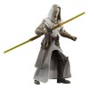 Star Wars: The Clone Wars Black Series Figurina articulata Jedi Temple Guard 15 cm, Hasbro
