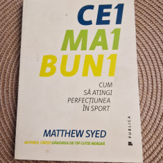 Cei mai buni cum sa atingi perfectiunea in sport Matthew Syed