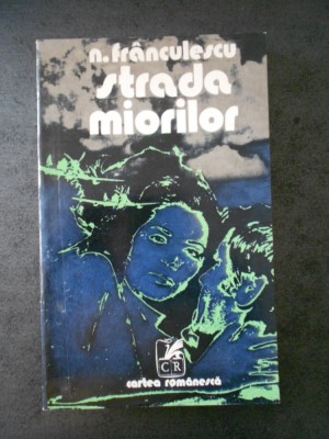 N. FRANCULESCU - STRADA MIORILOR foto