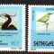 SENEGAL 1989, Fauna Pasari, serie neuzată, MNH
