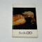 Secolul 20 - 153 / 10 - 1973
