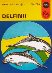 Delfinii foto