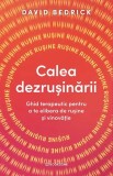 Calea dezrusinarii, David Bedrick, 2023, Bookzone