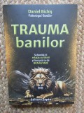 TRAUMA BANILOR , SCHIMBA - TI RELATIA CU BANII SI BUCURA - TE DE BUNASTARE de DANIEL BICHIS , 2023