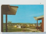 bnk cp Costinesti - Vedere - circulata