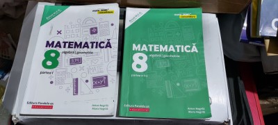 MATEMATICA ALGEBRA GEOMETRIE CLASA A VIII A - ANTON NEGRILA PARTEA I + II foto