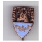 Insigna AJVPS Arges