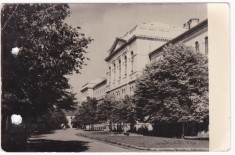 AMS - ILUSTRATA 1253, CLUJ - UNIVERSITATEA &bdquo;VICTOR BABES&rdquo;, ANUL 1957, cu perforari