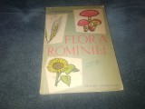 I SIMIONESCU - FLORA ROMANIEI