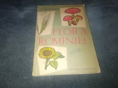 I SIMIONESCU - FLORA ROMANIEI