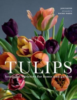 Tulips: Beautiful Varieties for Home and Garden foto