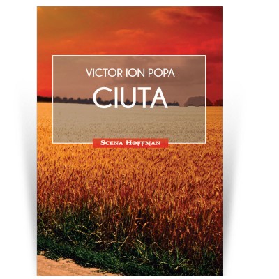 Ciuta - Victor Ion Popa foto