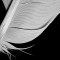 A Poet&#039;s Guide to Poetry