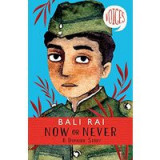 Now or Never: A Dunkirk Story (Voices #1)