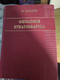 G. Macovei - Geologie stratigrafică