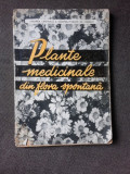 PLANTE MEDICINALE DIN FLORA SPONTANA